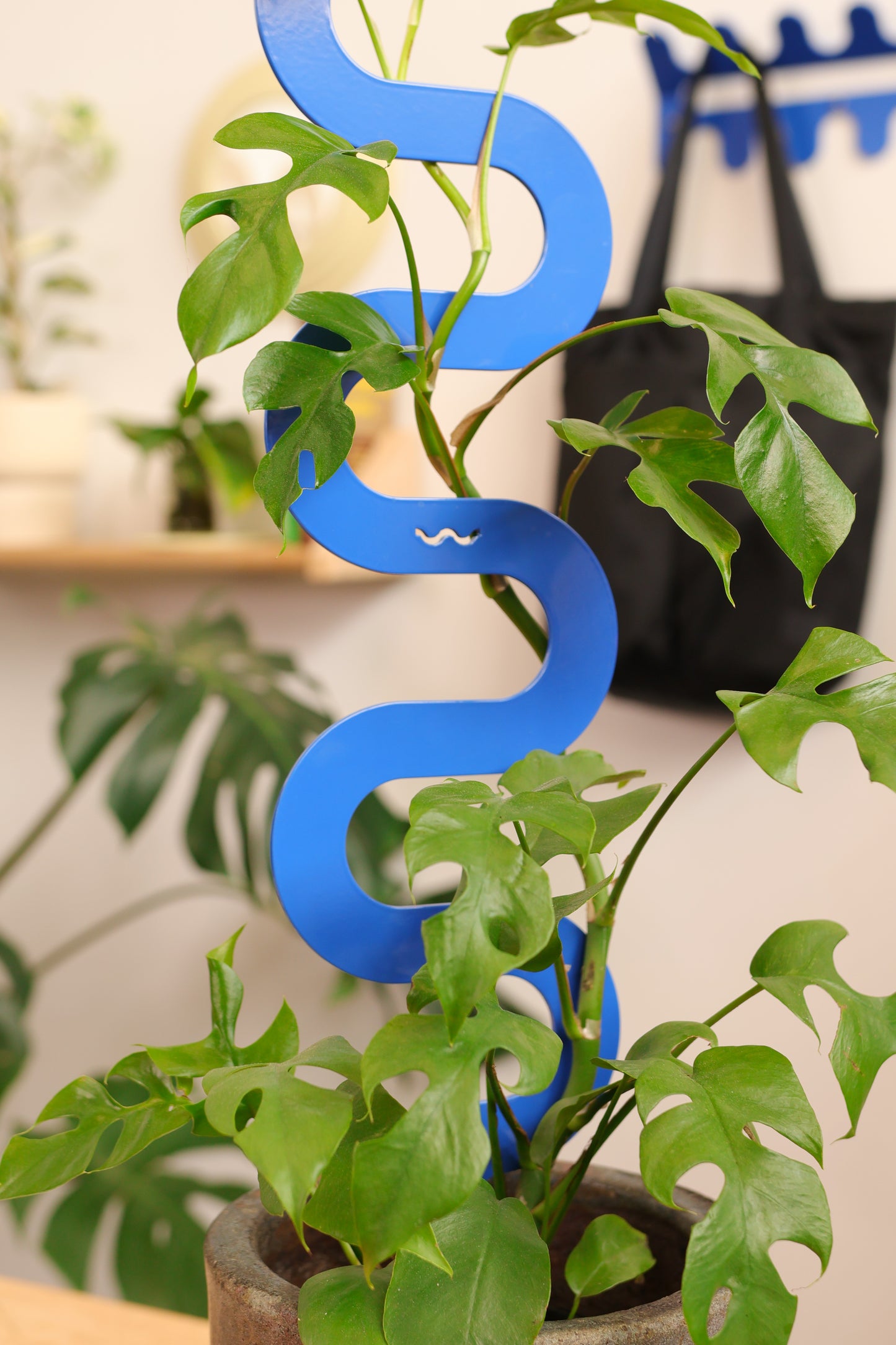 Boa III Medium Plant Stake - French Blue