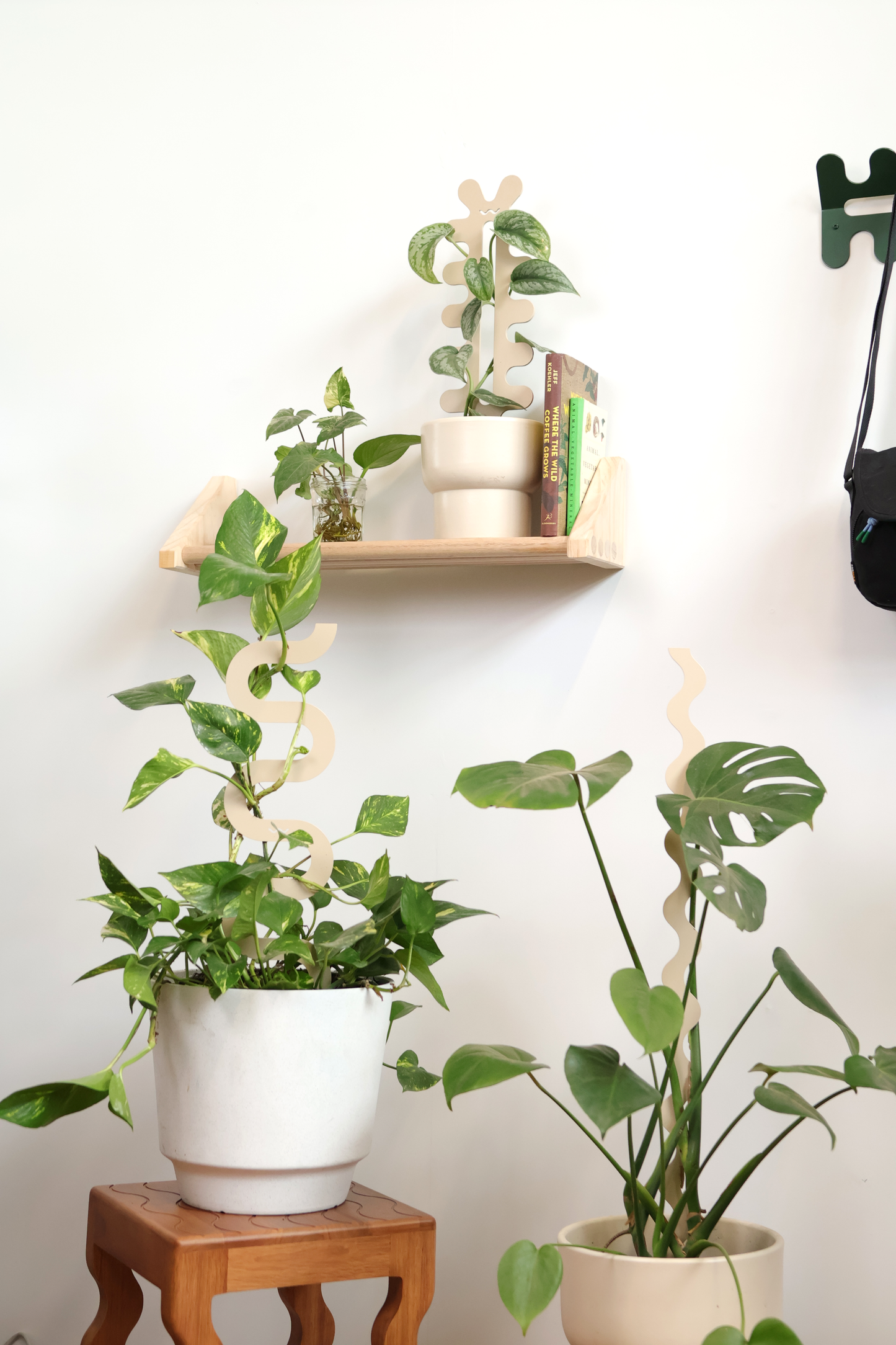 Cascade - Bundle - Cream