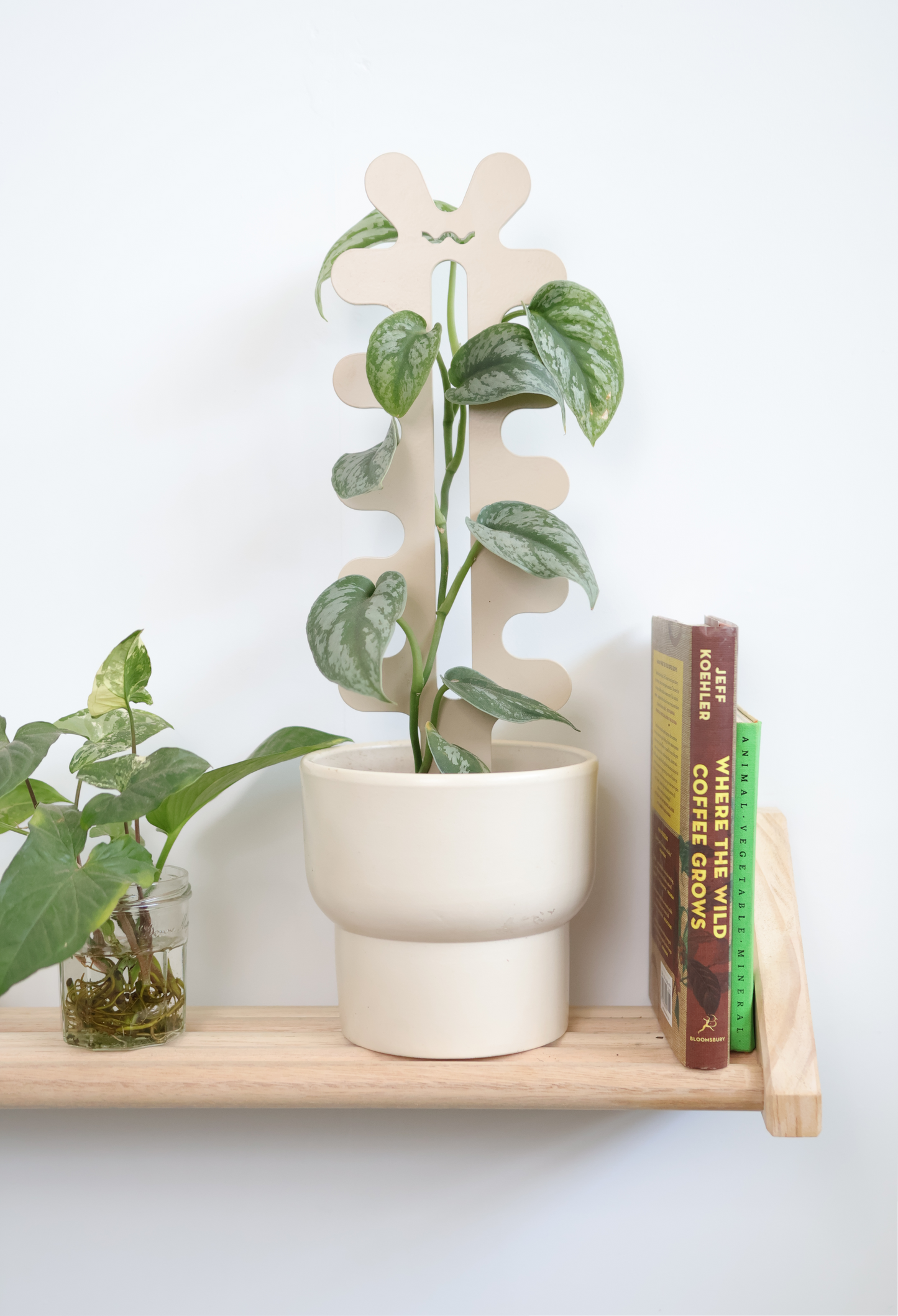 Riverbank - Fishbone Cactus Bundle