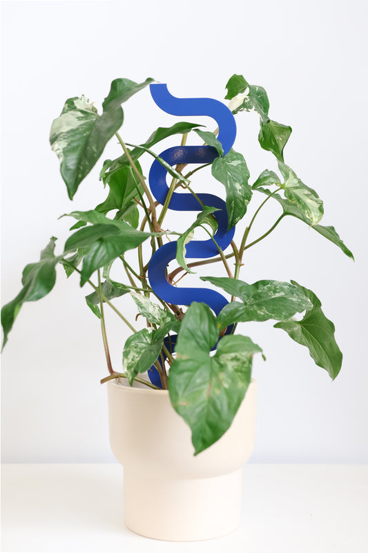 Boa III Small Plant Stake  - French Blue