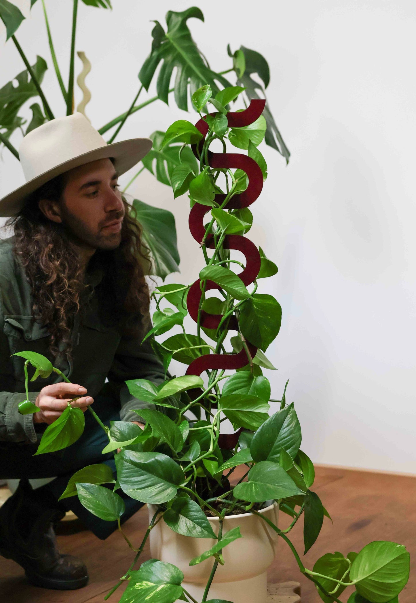 Boa III Plant Stake Lotus - Claret (Large)