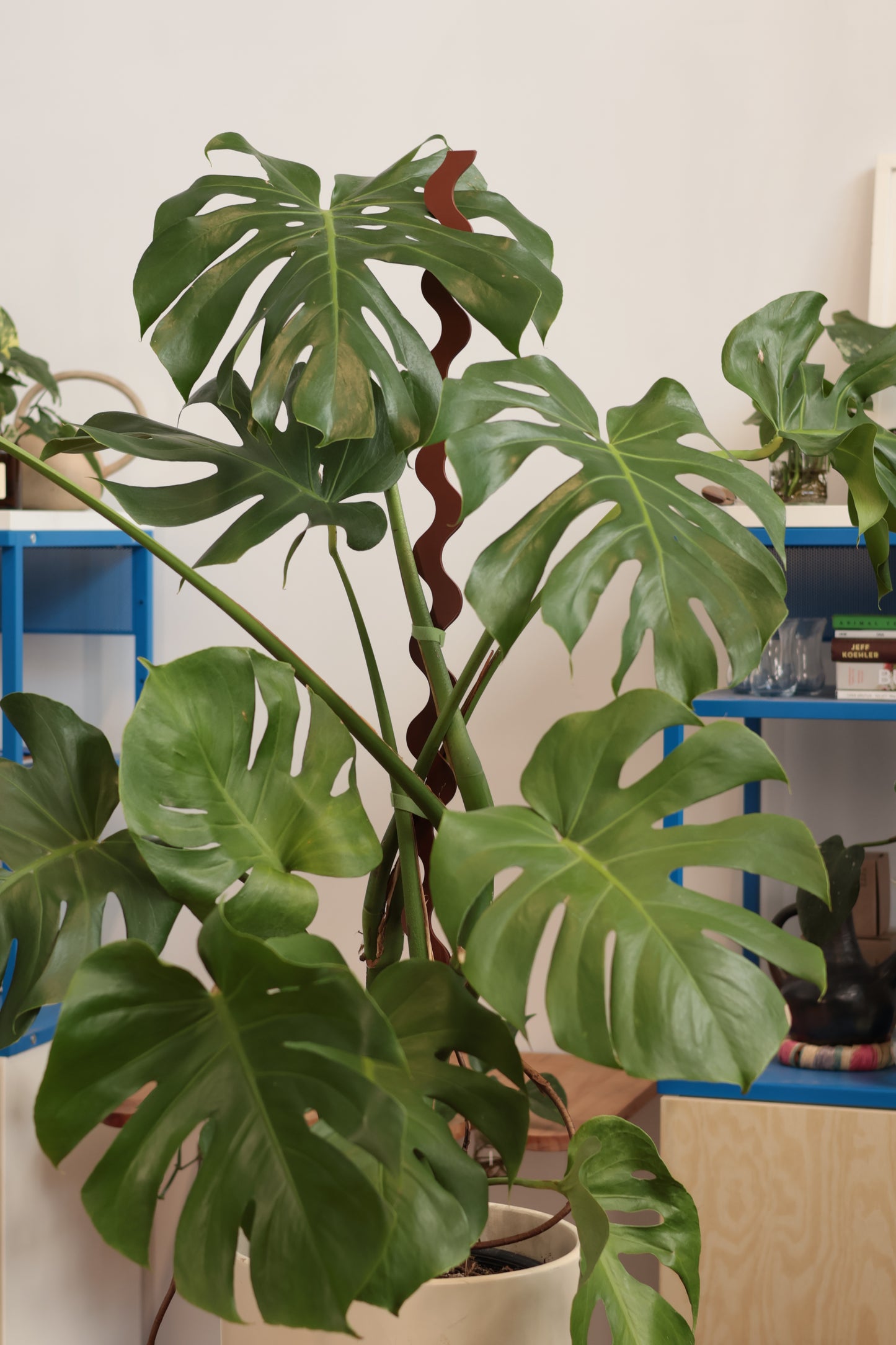 Wave III Plant Stake - Terrain - Large