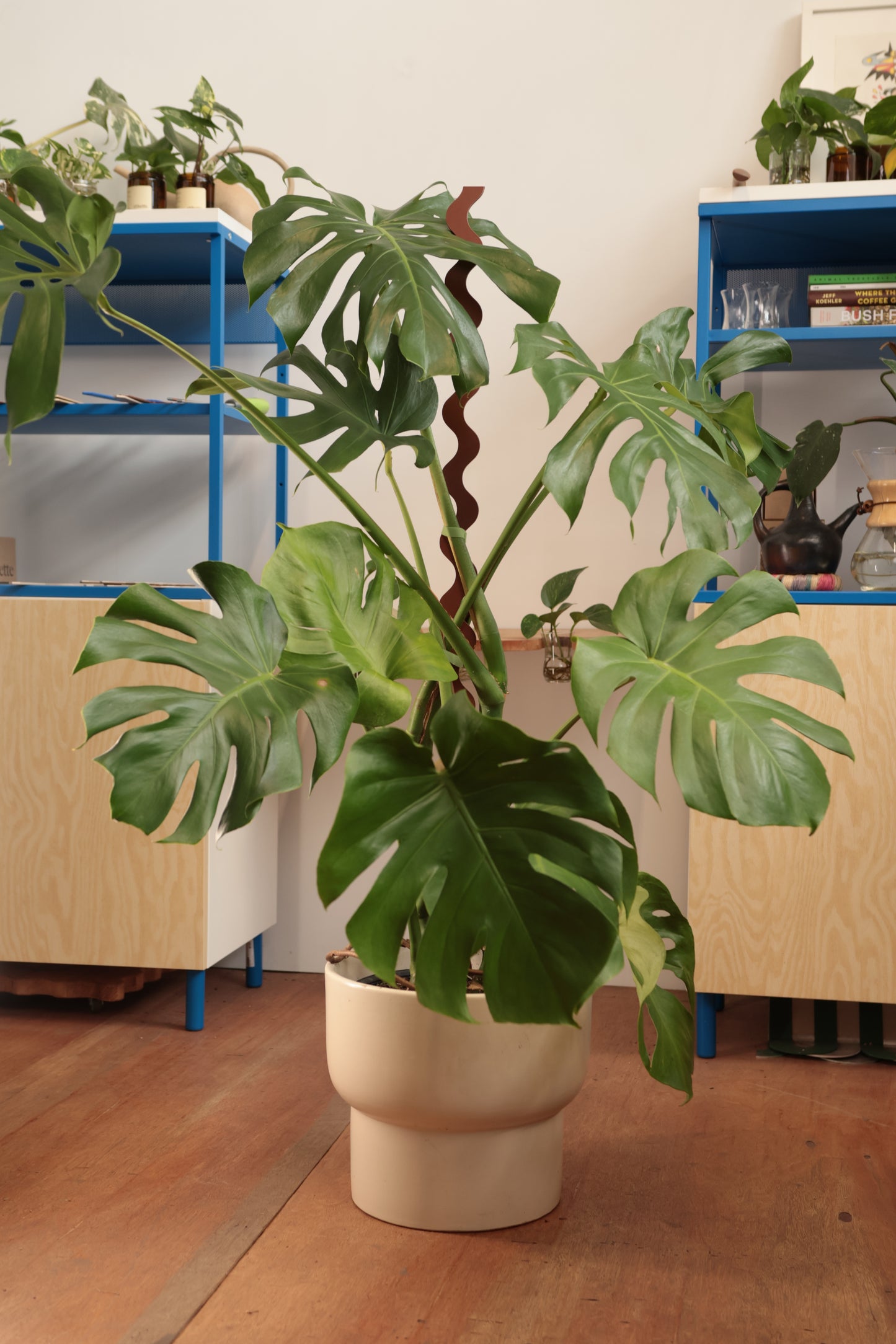 Wave III Plant Stake - Terrain - Collection