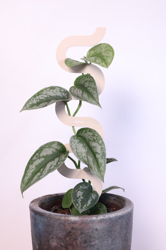 Boa III Small Plant Stake  - Paperbark