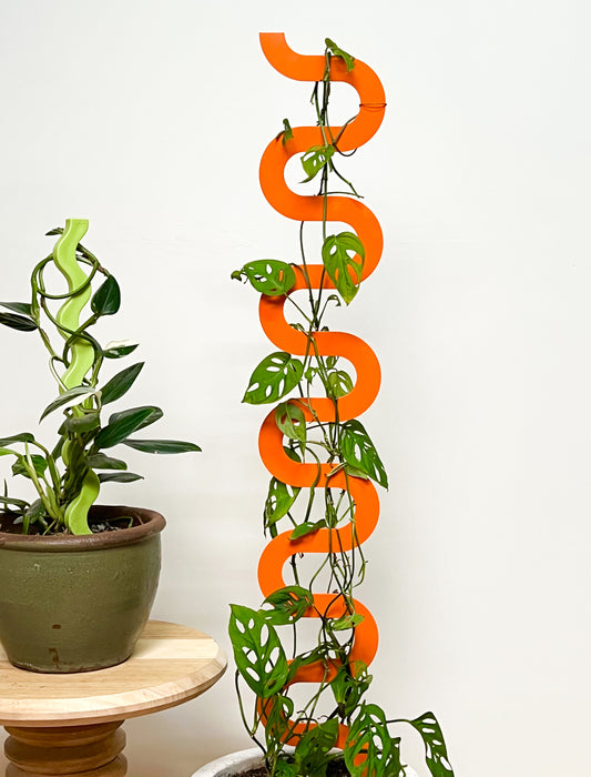 Boa III Plant Stake - Tangerine (Large)