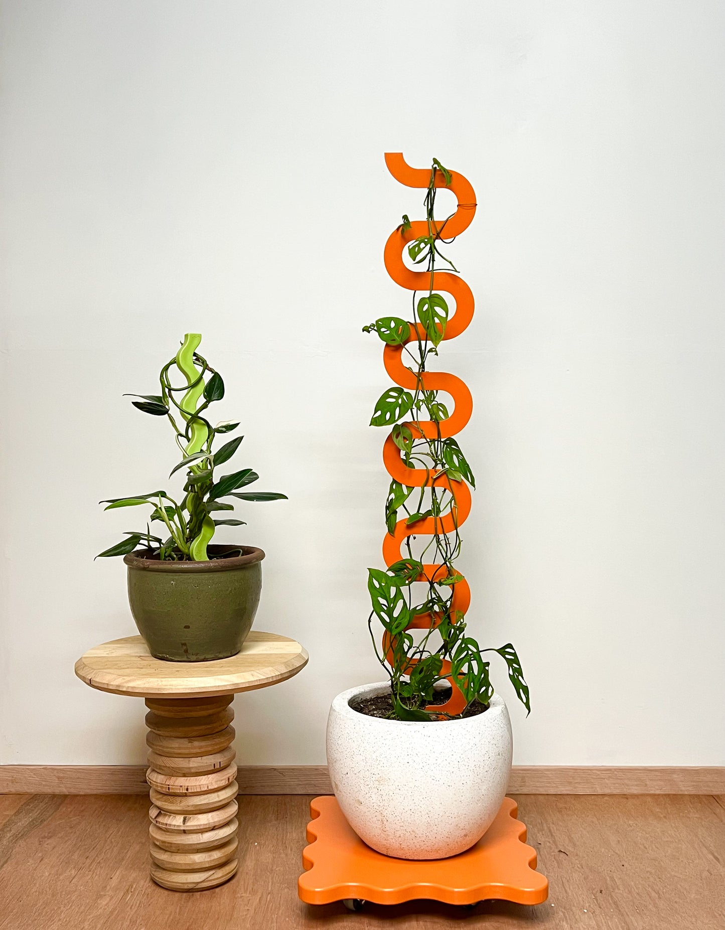 Boa III Plant Stake - Tangerine (Large)