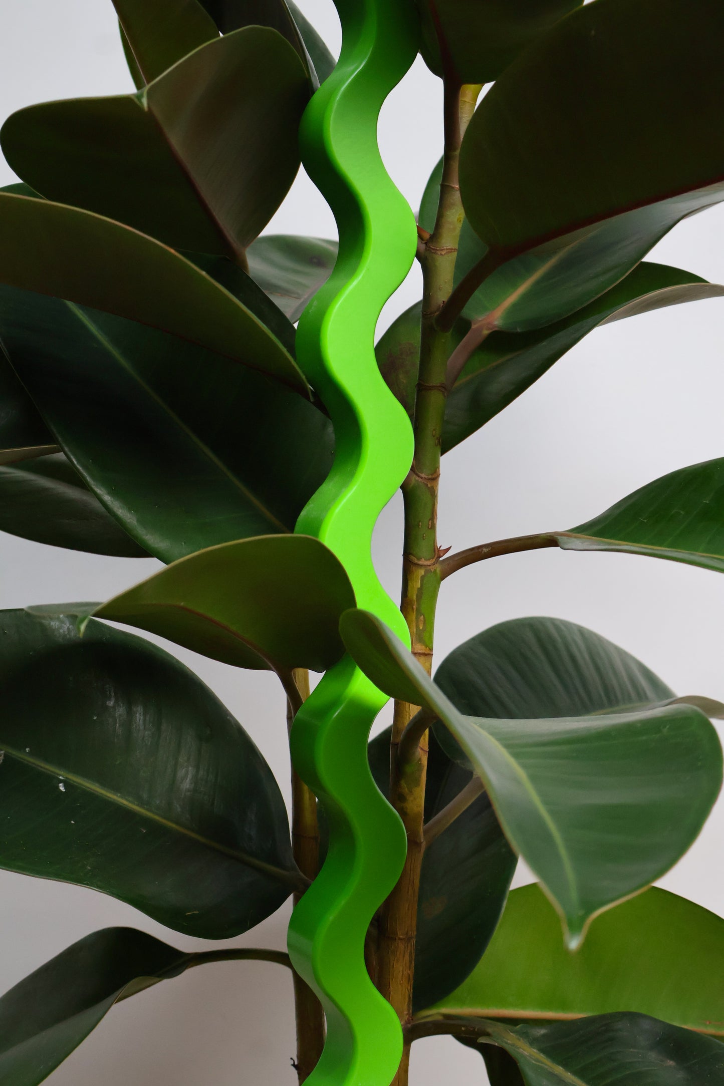 Wave II Plant Stake - Recycled Plastic - Lime