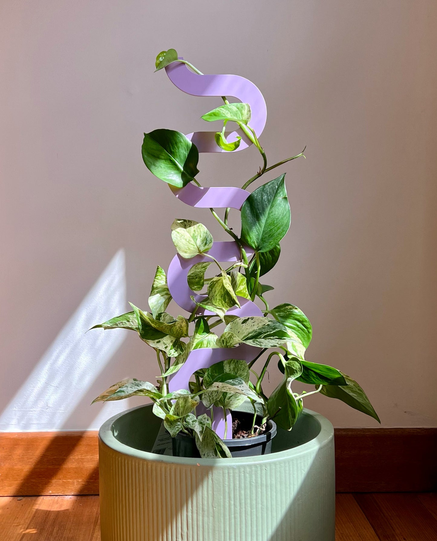 Boa III Plant Stake - Metal