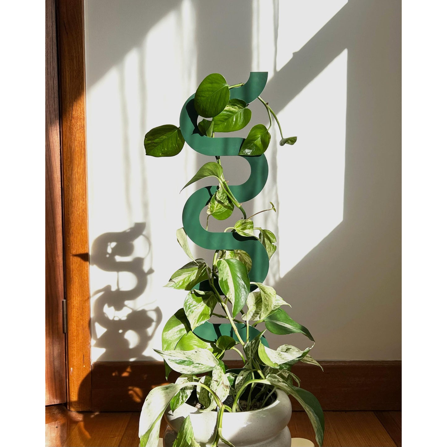 Boa III Plant Stake - Metal