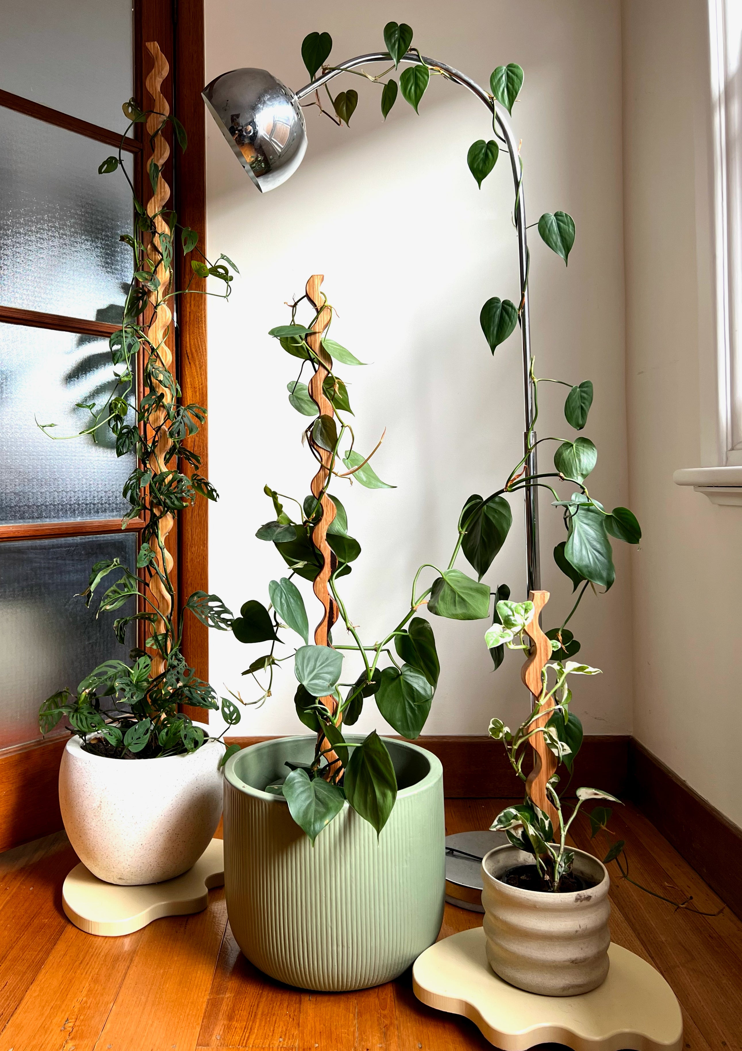 indoor plant stakes Wave I Plant Stake