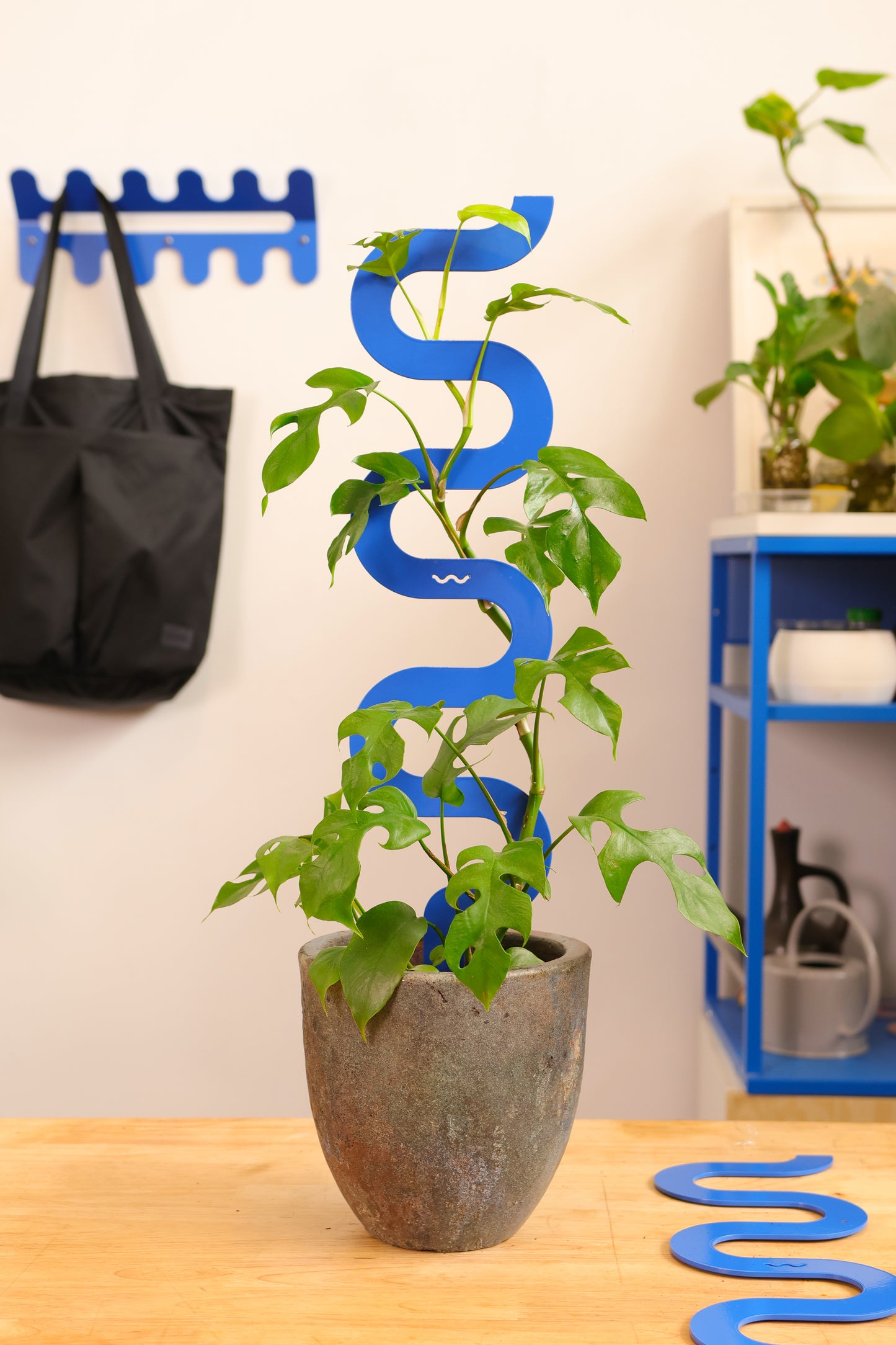 Boa III Medium Plant Stake - French Blue