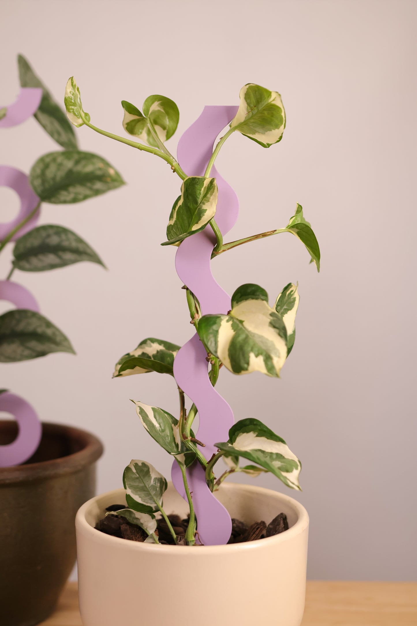 Bloom - Lilac - Sculptural Triple Pack