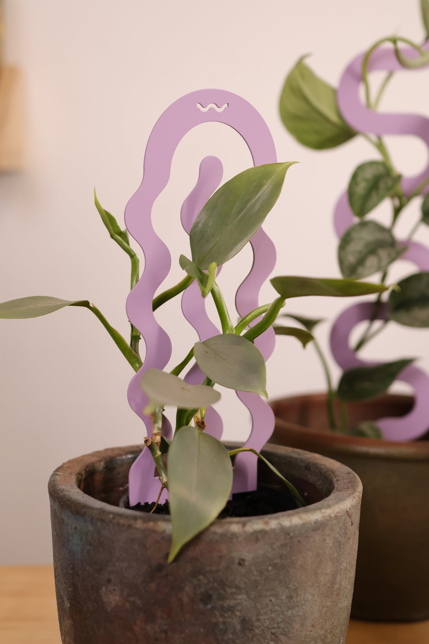 Bloom - Lilac - Sculptural Triple Pack