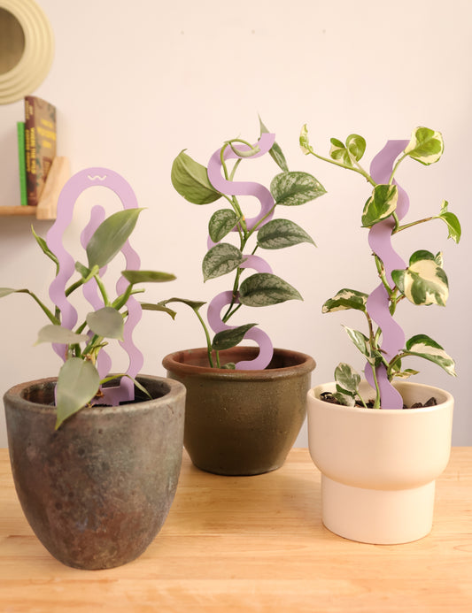 Bloom - Lilac - Sculptural Triple Pack