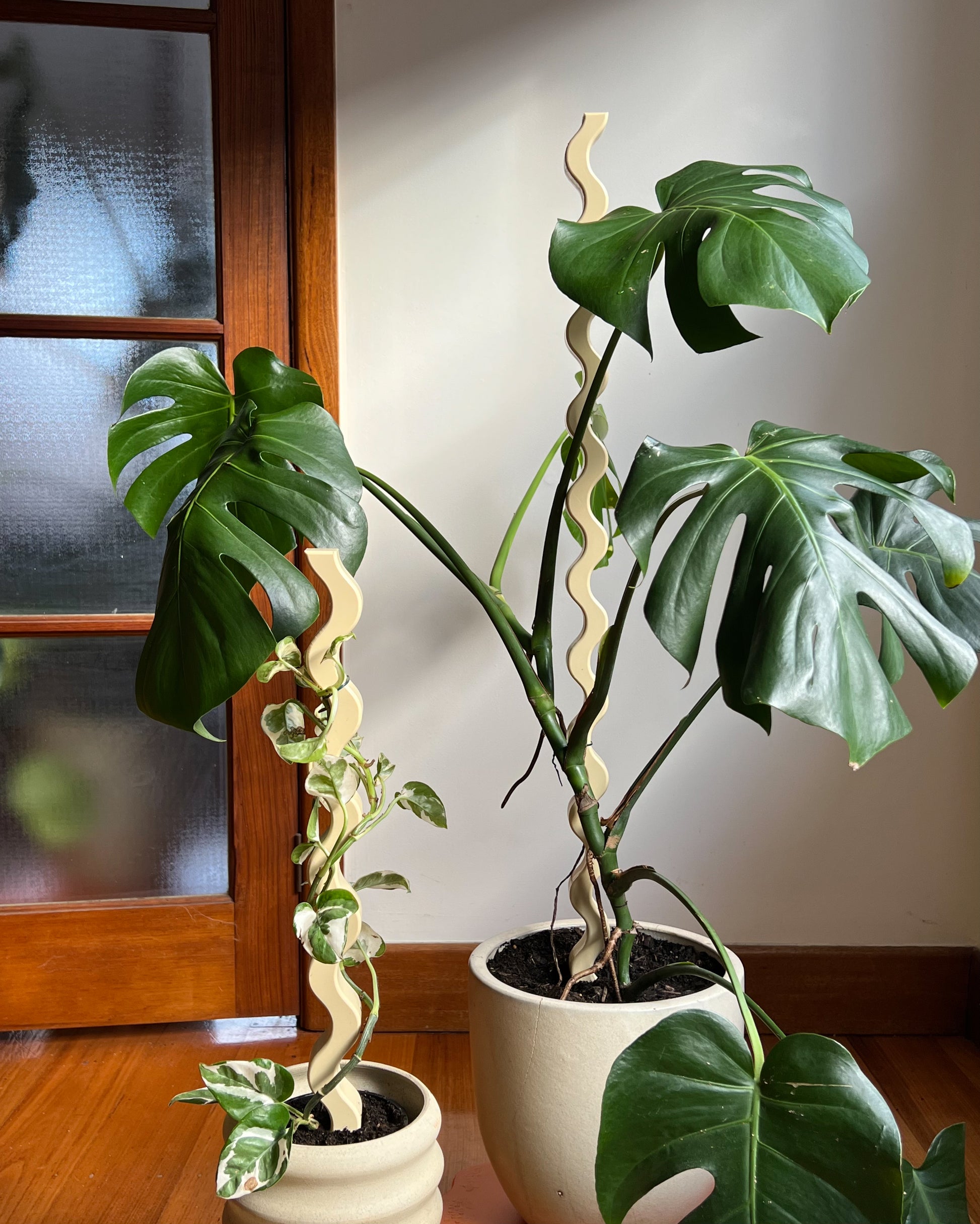 plastic monstera plant Wave II Plant Stake - Recycled Plastic
