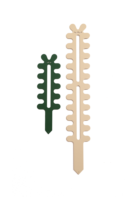 Fishbone Cactus - Bundle - Cream & Forest Green