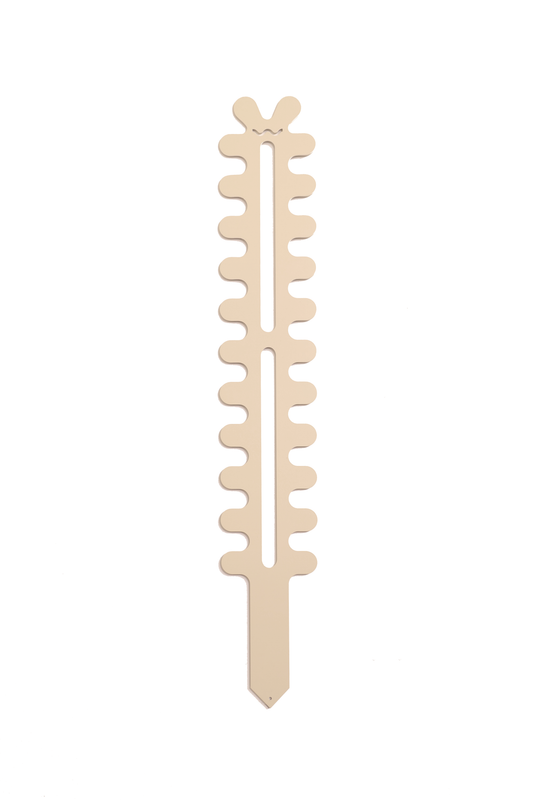 Fishbone Cactus - Large - Cream