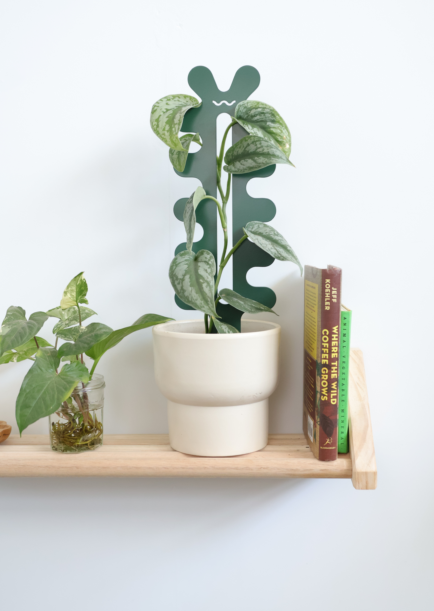 Riverbank - Fishbone Cactus Bundle