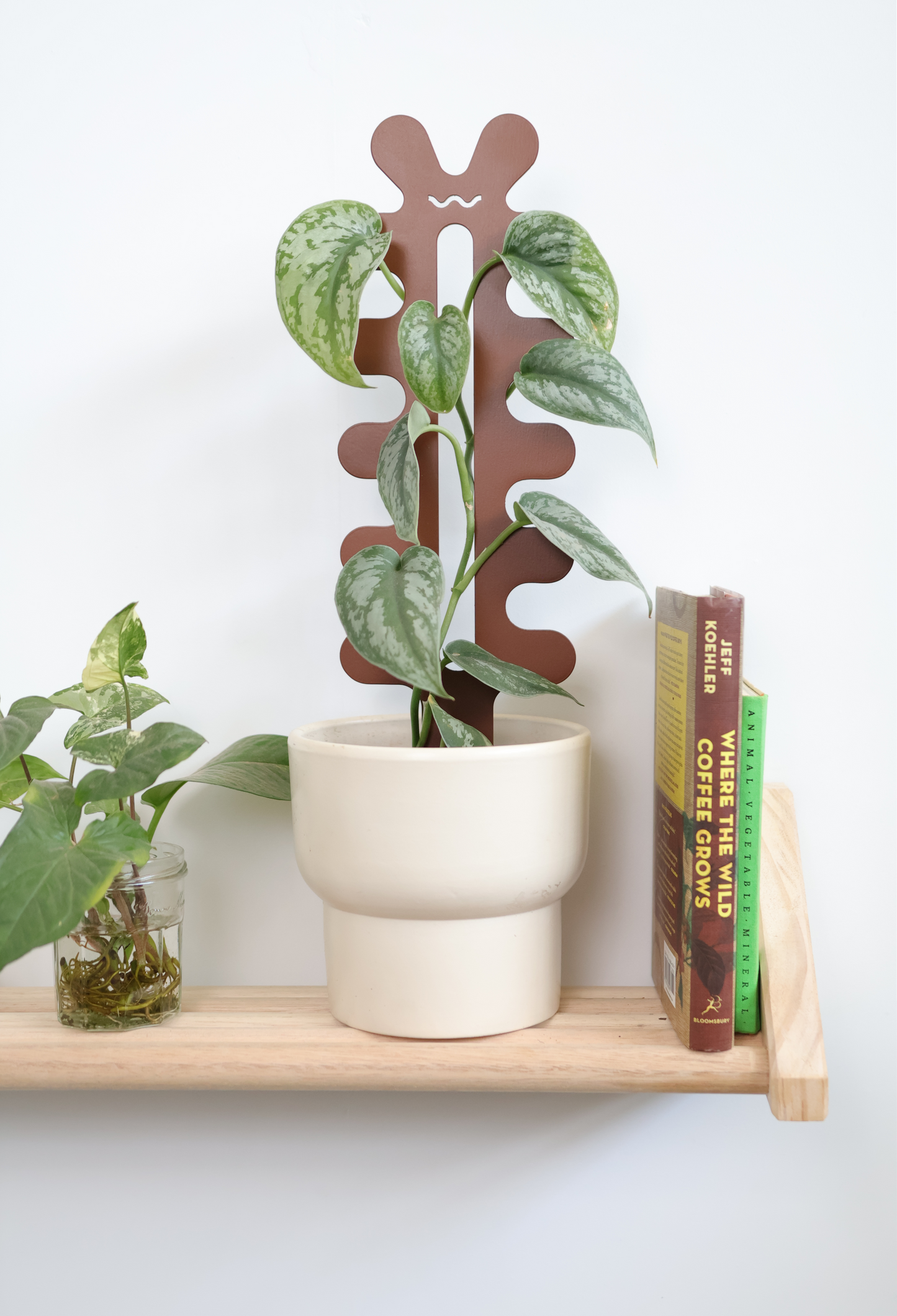 Riverbank - Fishbone Cactus Bundle