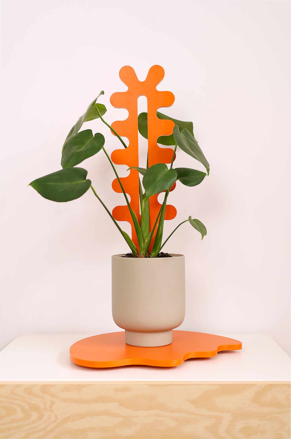 Jelly Plant Stand - Tangerine