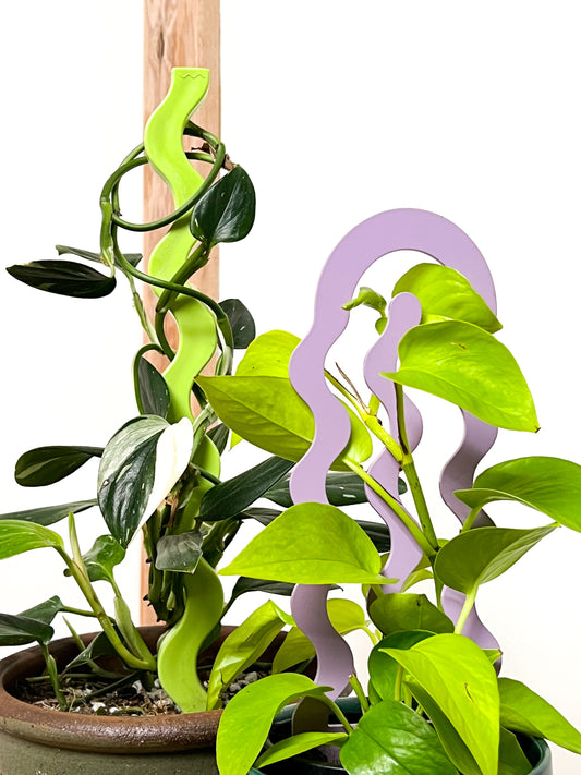 Spiral Plant Stake Bundle - Lilac & Pistachio