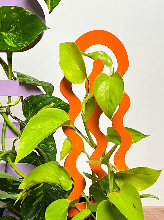 Climber Plant Stake Bundle - Tangerine & Lilac
