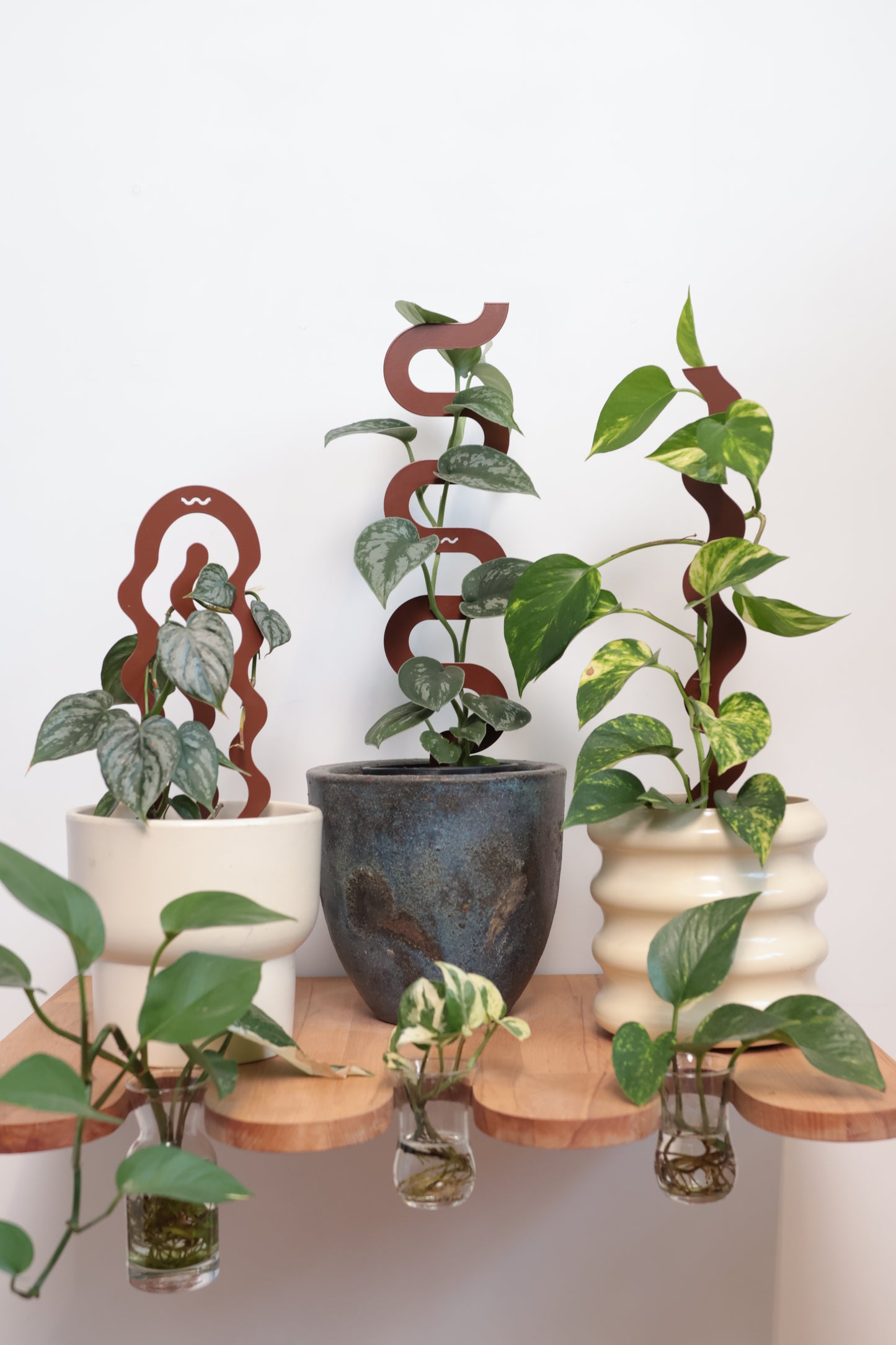 Bloom - Terrain - Sculptural Triple Pack