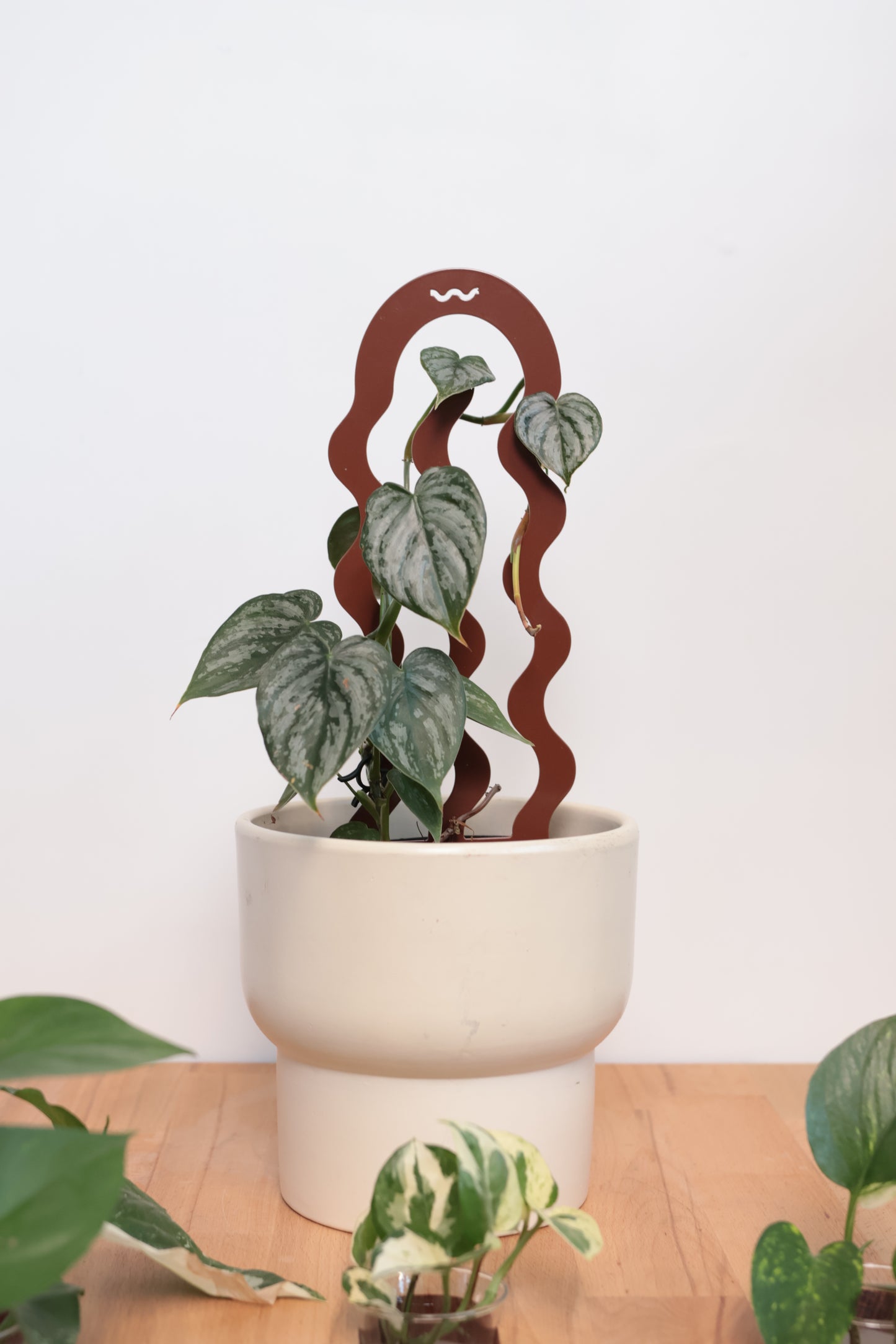 Bloom - Terrain - Sculptural Triple Pack