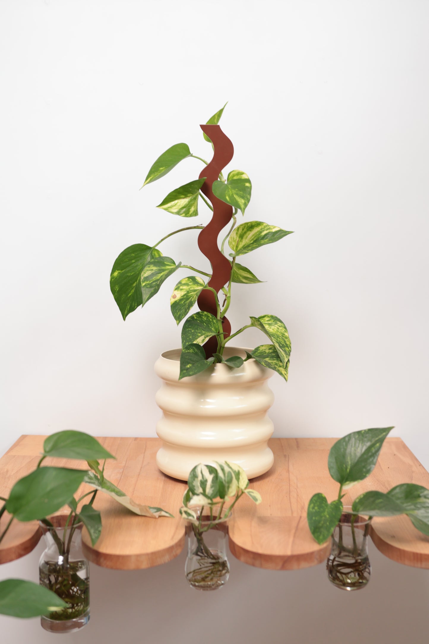 Wave III Plant Stake - Terrain - Collection