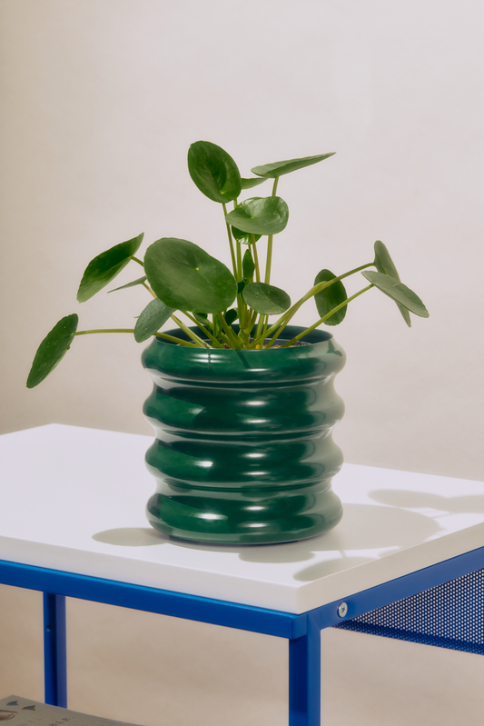 Iris Planter - Forest Green