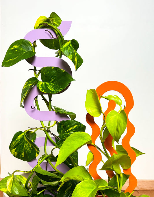 Climber Plant Stake Bundle - Tangerine & Lilac