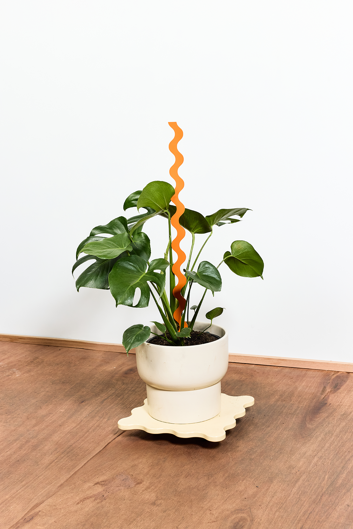 Wave III Plant Stake - Tangerine - Medium