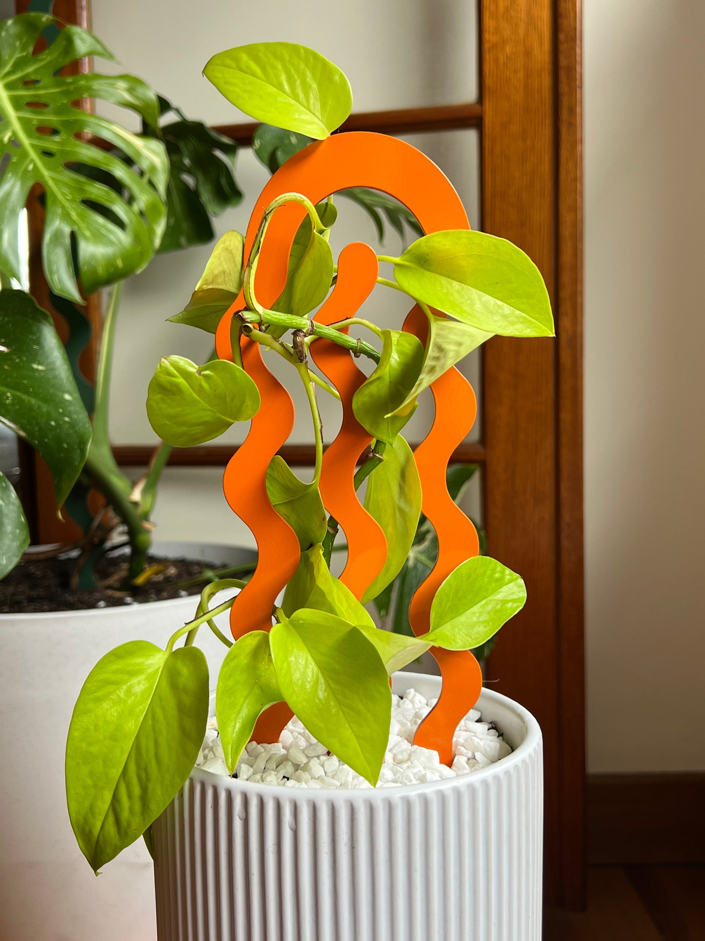 Climber Plant Stake Bundle - Tangerine