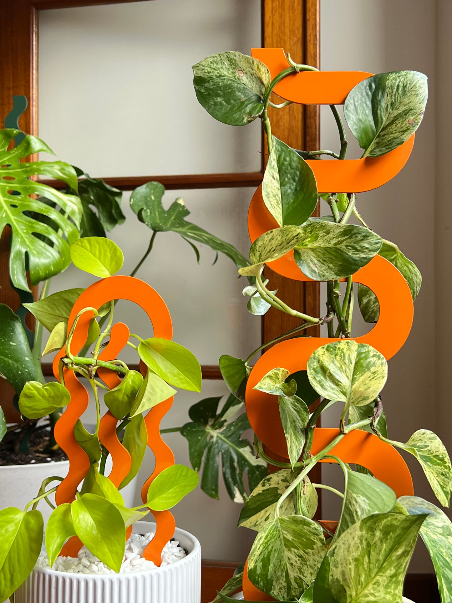 Climber Plant Stake Bundle - Tangerine