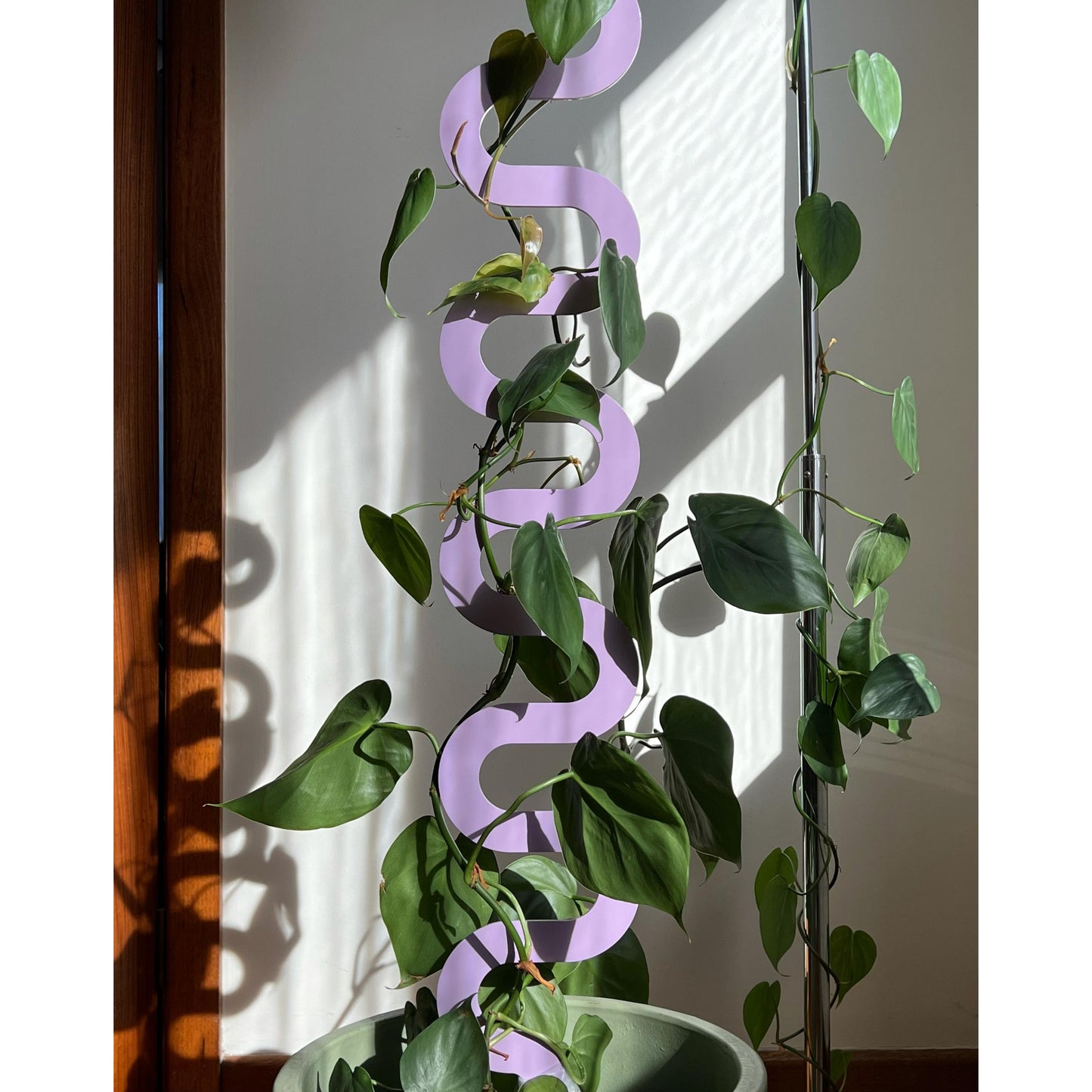 Boa III Plant Stake - Wisteria (Large)