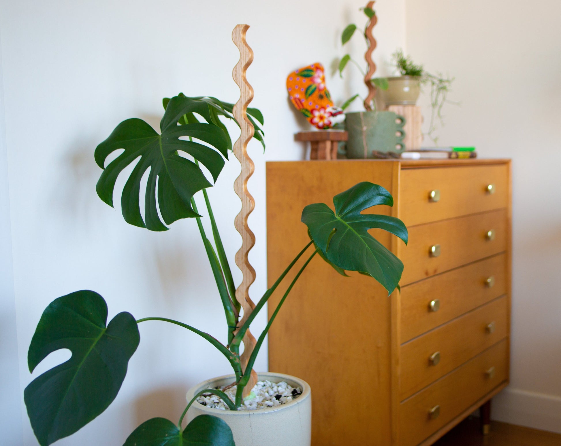 stake for monstera plant Wave I Plant Stake - Medium