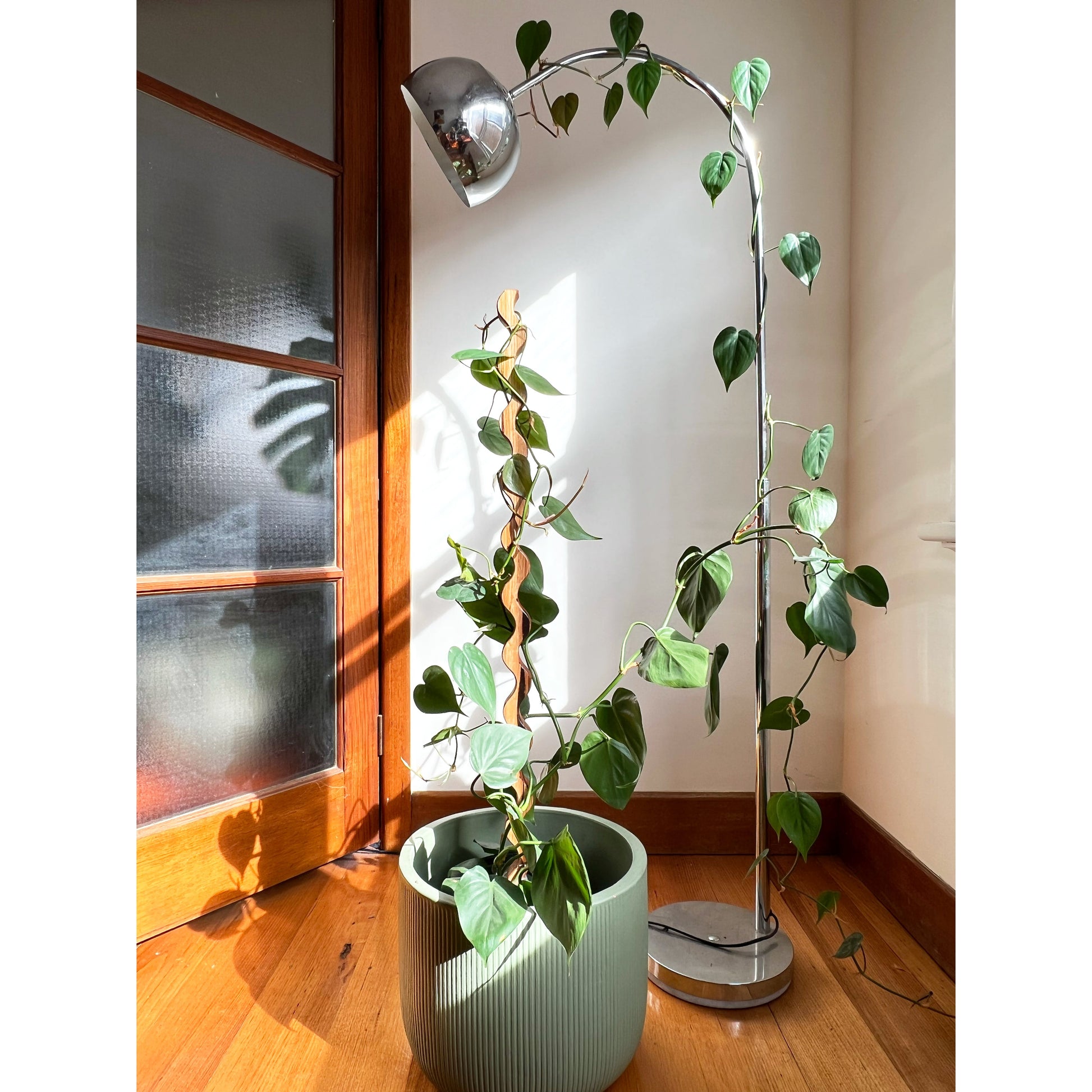 large indoor plant stakes Wave I Plant Stake